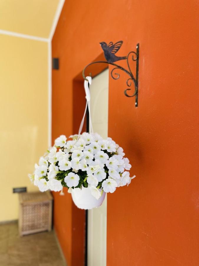 Il Giardino Di Iole Via Giovanni Amendola N36 Bed & Breakfast ซัสซารี ภายนอก รูปภาพ