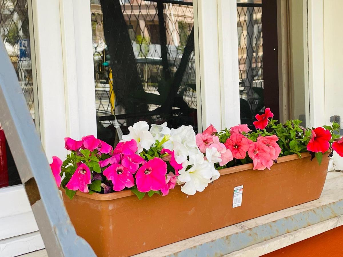 Il Giardino Di Iole Via Giovanni Amendola N36 Bed & Breakfast ซัสซารี ภายนอก รูปภาพ